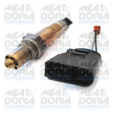 Oxygen Sensor